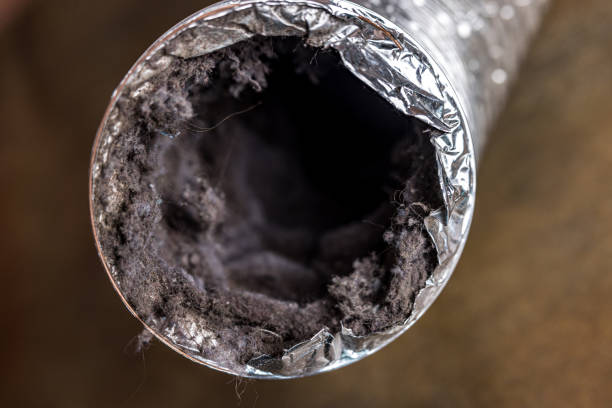 Best Air Duct Cleaning Near Me  in Quail Creek, TX