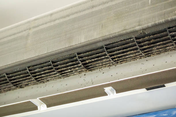 Best Duct Cleaning Specialists  in Quail Creek, TX